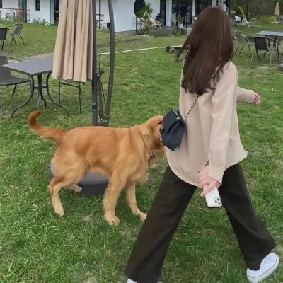 神剑